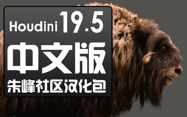 Houdini19.5ĺʽ()