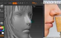 zbrush制作鼻子教程