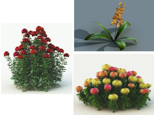 plant factory贴图和导出动画教程